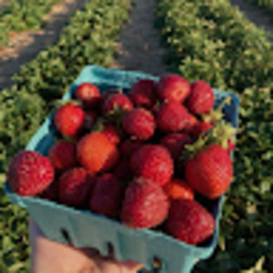 Meet your Posher, Evelyn